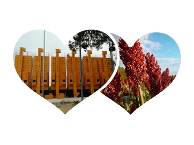 �����Zʳ��əC(j��)�DƬ