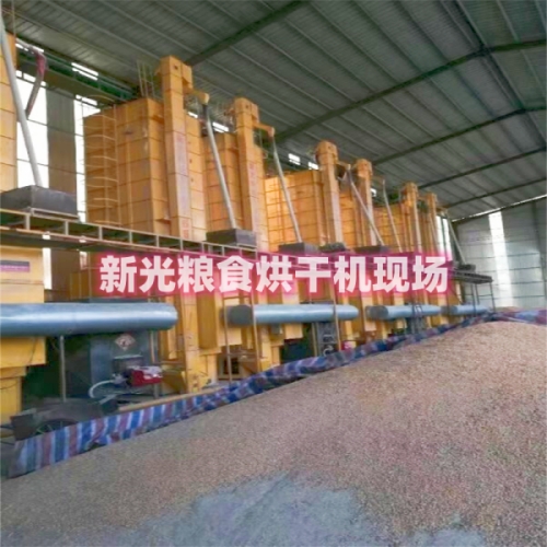 新光糧食烘干機現場 新光糧食烘干機現場