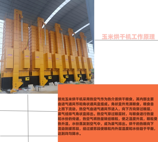 ���׺�əC�C�M